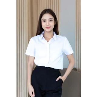 The Bow เสื้อเชิ้ตผู้หญิงคอปกแขนสั้น เสื้อทำงาน ใส่ได้ทุกโอกาส แมทซ์ได้กับทุกลุค มี 8 สี S-5XL