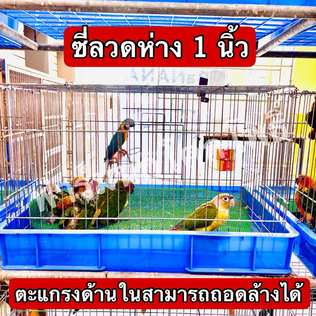 กรงสัตว์เลี้ยงอเนกประสงค์ รุ่น T3K ขนาด 60x42x38 ซม. พร้อมถาดและตะแกรงรองพื้น