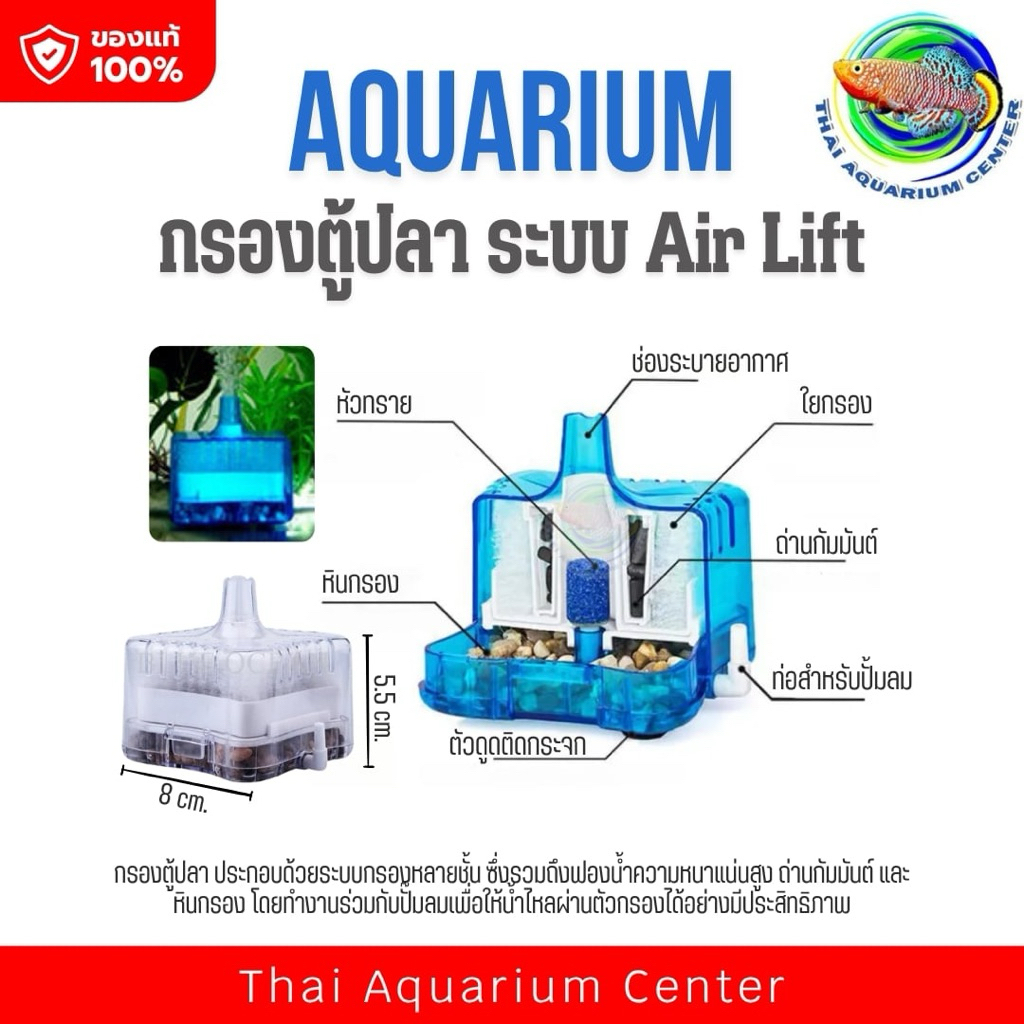 กรองใต้น้ำแบบหลายชั้น ระบบ Air Lift สำหรับตู้ปลา

<p>“><center></p>
<h4></h4>
<p><p><font color=