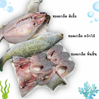 🐟ปลากระพงสดไซส์จัมโบ้+ฟรีน้ำจิ้มซีฟู้ด‼️ มีบริการขอดเกล็ด แล่เนื้อล้วน หั่นชิ้น ควักไส้ฟรี 🐟 พร้อมส่งทั่วไทย 🚐
