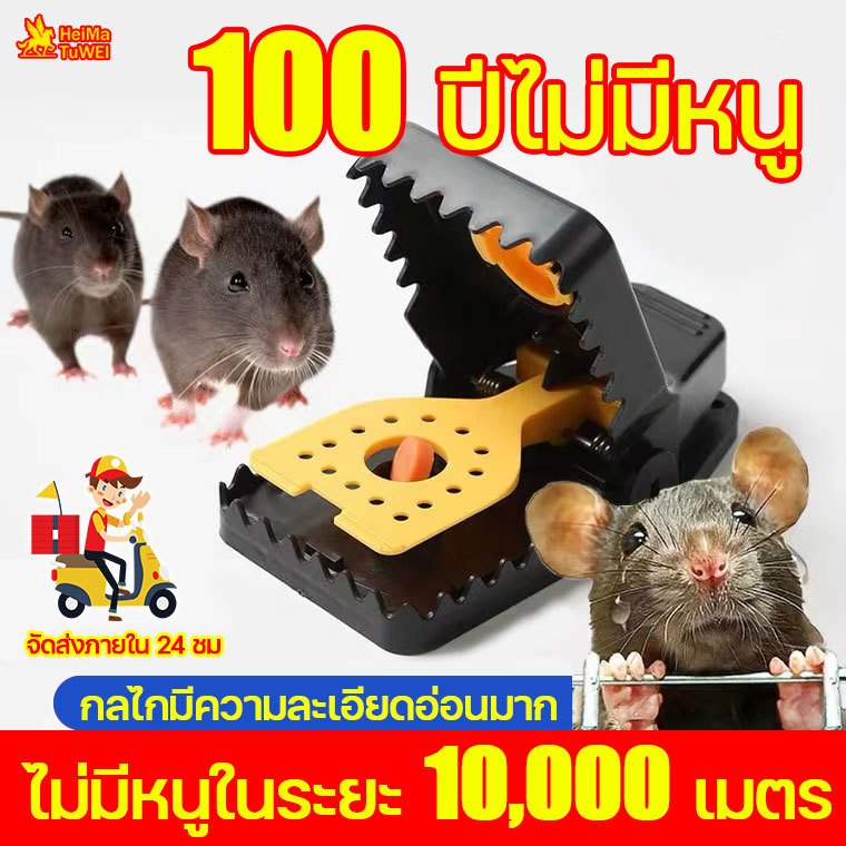 กรงดักหนูแบบมีโครง กรงดักหนูสปริงคู่ ไม่มีหนู 100 ปี กรงดักหนูสปริง ถังดักหนู กรงดักหนู กรงดักหนูบ้าน ที่ดักหนู กับดักหน