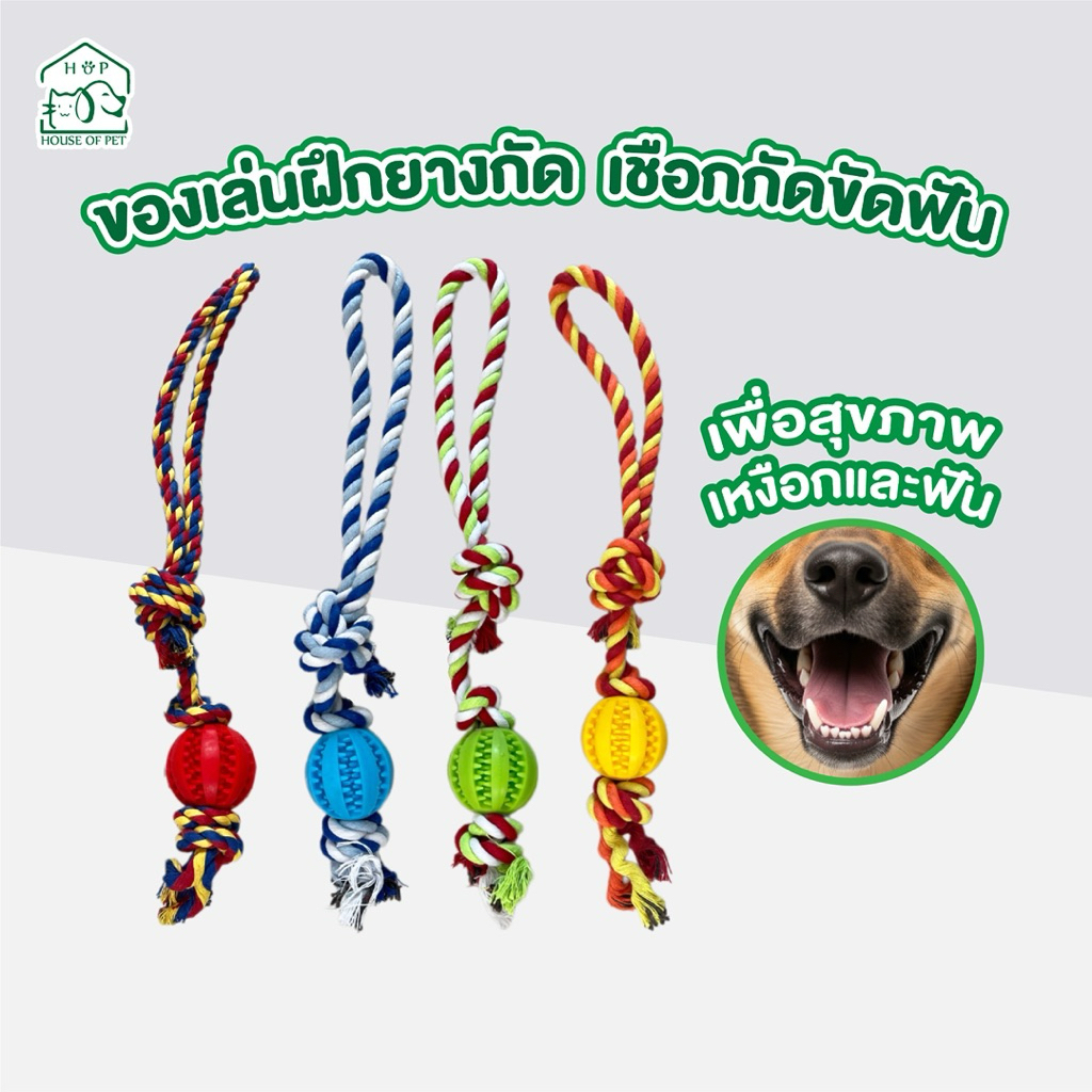 ของเล่นฝึกสุนัข ของเล่นยางกัด ของเล่นขัดฟัน เชือกกัดสุนัข