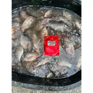 เหยื่อรูดร้อยลี้ – 250g | เหยื่อตกปลานิล หัวเชื้อตกปลา พร้อมตก ชิงหลิวบ่อเหมา หมายธรรมชาติ