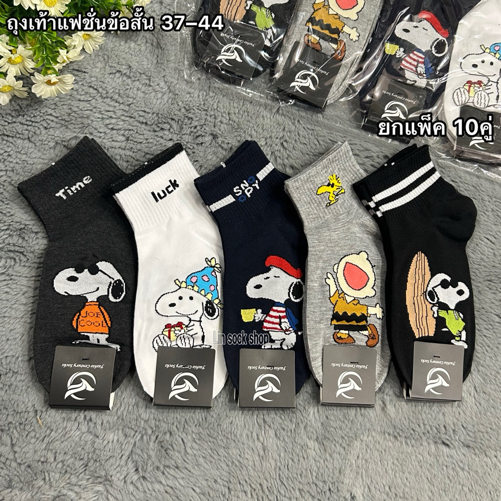 รูปภาพ 5