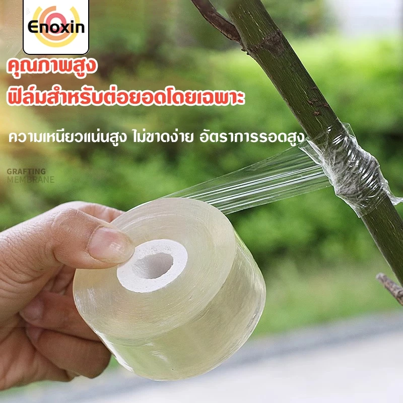เทปพันกิ่งไม้ เทปพันตอนกิ่ง ฟิล์มยืดติดตาต้นไม้