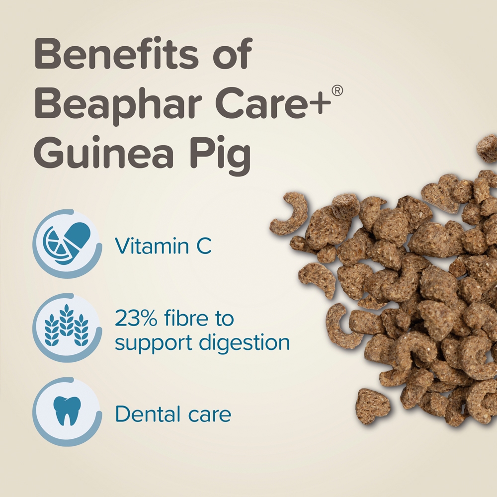 Beaphar طعام خنازير غينيا CARE+ ‏1.5 كغ — صورة 7