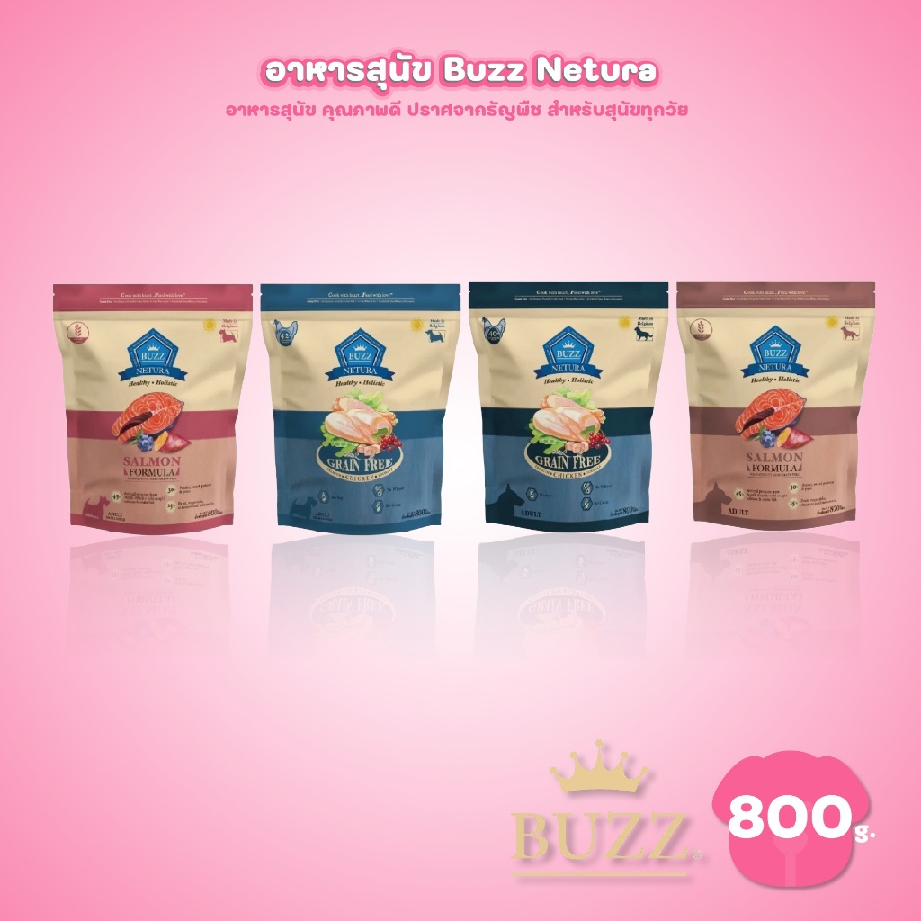[800g.] Buzz Netura Holistic อาหารสุนัข โฮลิสติก เกรนฟรี บัซซ์ สำหรับสุนัขทุกสายพันธุ์ ขนาด 800 กรัม