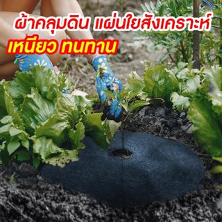 SGE ผ้าคลุมวัชพืช แบบวงกลม รุ่น CSC ผลิตจากวัสดุรีไซเคิลที่มีความเหนียวหนาพิเศษ ส่งไว ส่งถูกที่สุด!!