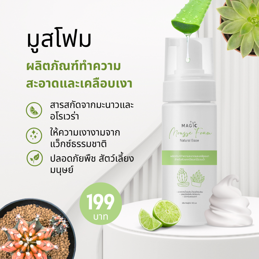 มูสโฟมสำหรับสปาแคคตัส ทำความสะอาด  ให้ความเงางาม เหมาะสำหรับแคคตัสยิมโน