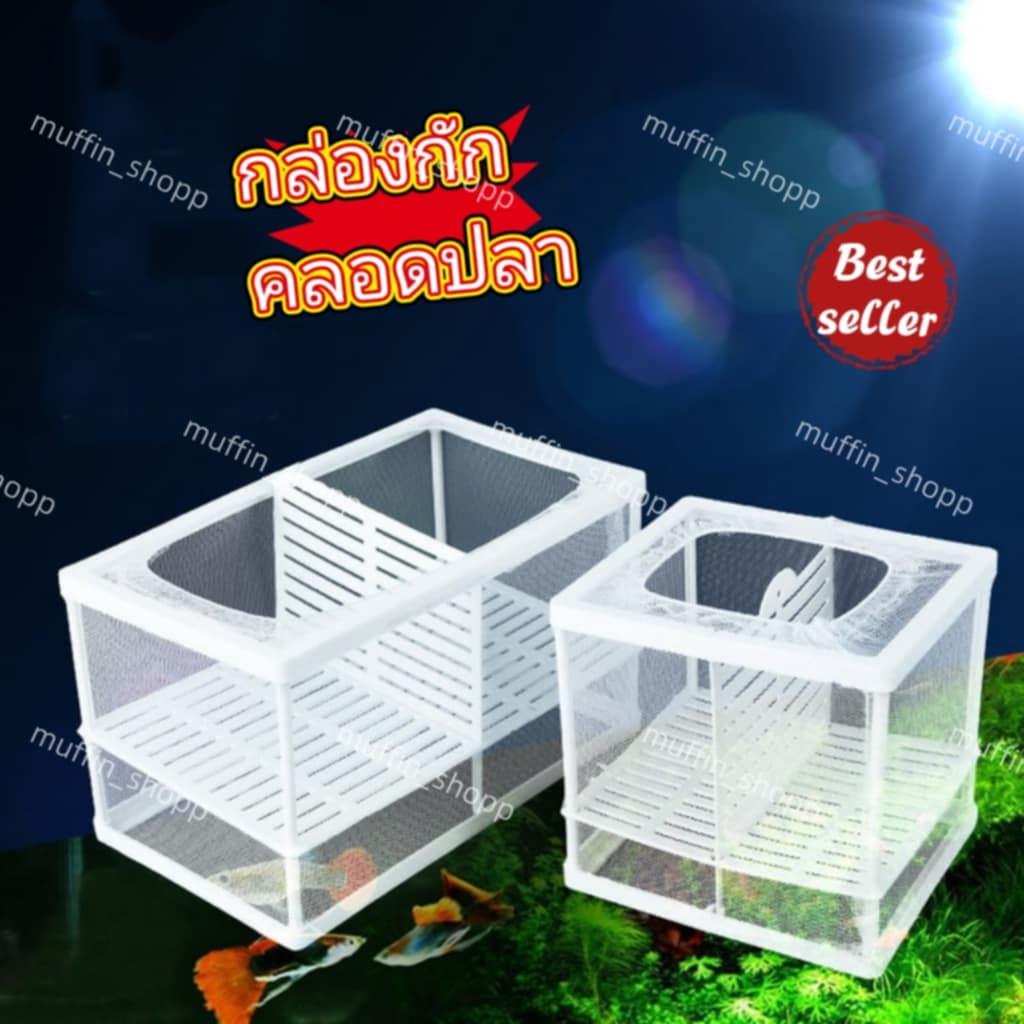 ที่กักคลอดปลา ตู้แยกปลา อุปกรณ์ตู้ปลา กล่องคลอดปลา กล่องเพาะปลา แยกปลาป่วย ใช้ได้ดี ทนทาน ส่งด่วนจากไทย