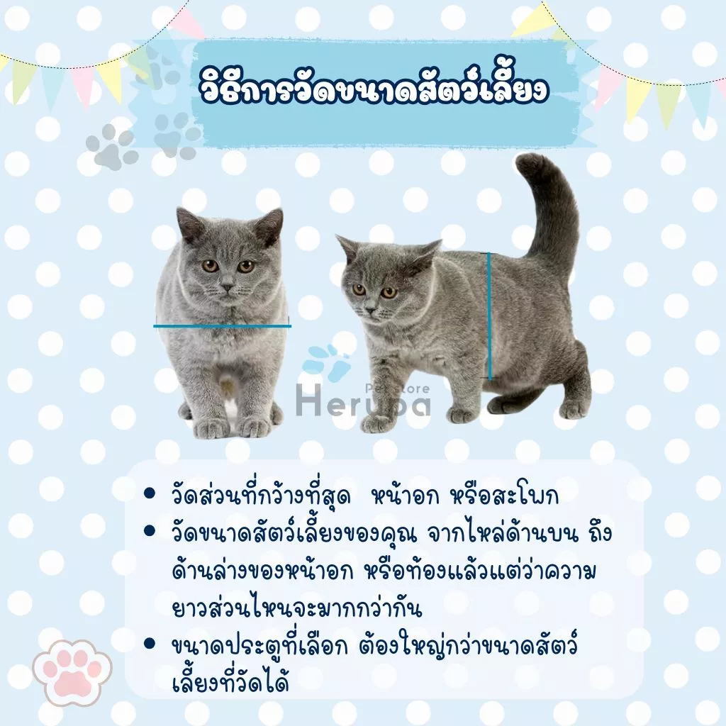 ประตูแมวติดมุ้งลวด  ประตูหมา ประตูสัตว์เลี้ยง ตั้งล็อคได้ 4 แบบ สินค้าพร้อมส่ง (รับงานติดตั้งทักแขทนะคะ) thumbnail 6