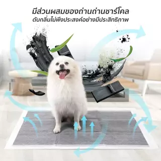 Petcho (แพ็คชุด/4แพ็ค) แผ่นรองฉี่สุนัข รุ่นชาโคล แผ่นรองฉี่ชาโคล ช่วยฝึกขับถ่าย การดูดซับน้ำ6ชั้น ระงับกลิ่นได้ดี