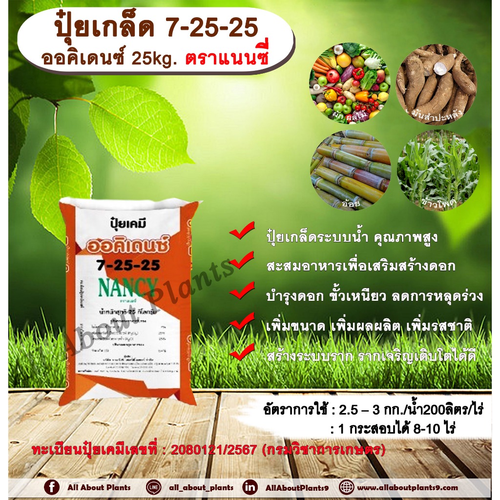 ปุ๋ยเกล็ด 7-25-25 ออคิเดนซ์ 25kg. ตราแนนซี่ ปุ๋ยระบบน้ำ ปุ๋ยเกล็ดระบบน้ำคุณภาพสูง สูตรเร่งสะสมอาหาร 