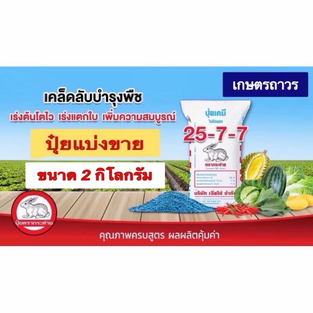 ปุ๋ยตรากระต่าย สูตร 25-7-7 เม็ดสีฟ้า แบ่งขาย 2 กิโลกรัม  เร่งให้โตไว ใบงาม รากแข็งแรง