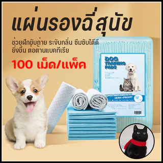 แผ่นรองฉี่สำหรับสัตว์เลี้ยง ผิวสัมผัสดี ซึมซับไว ดูดซึมเร็วแผ่นรองฉี่ แผ่นรองฉี่สุนัข แผ่นรองฉี่แมว ช่วยฝึกขับถ่าย