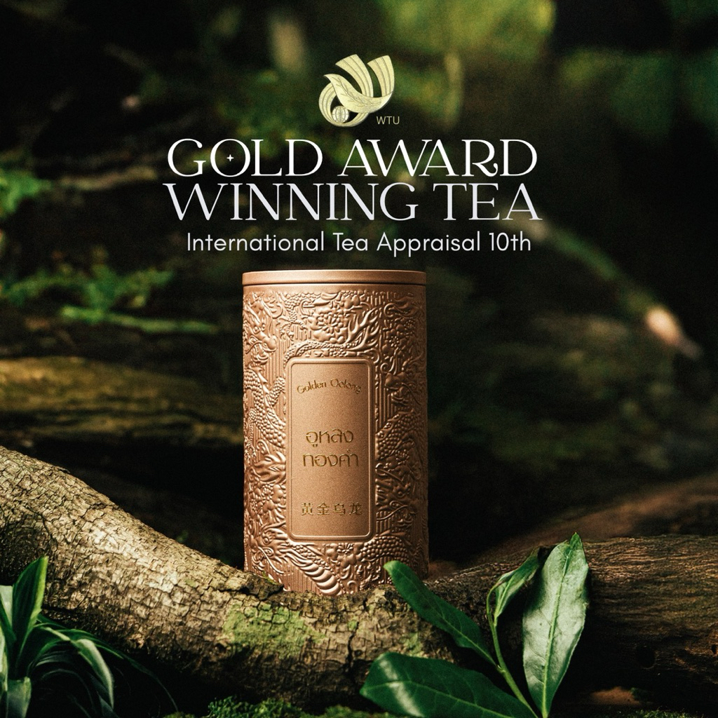 ชาอูหลงทองคำ ออแกนิค Golden Oolong Tea ชาอู่หลง ชาทองคำ กลิ่นหอมดอกไม้ - ตรา ชาไทยมรกต ใบชาโชคจำเริญ