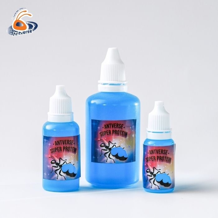 น้ำหวานโปรตีนสำหรับมด สูตรเร่งไข่ บำรุงตัวอ่อน Antverse Super Protein - รูปที่ 2