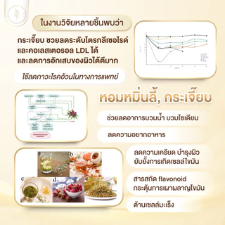 (เซต3+3แถมแก้ว)ชาลิลลี่ป่า🇳🇱มีอย. สูตรพรีเมี่ยมลดไvมัน แขนขา หน้าท้อง ลดคอเลสเตอรอล ลดบวมเร่งด่วน‼️ ไม่เห็นผลคืนเงิน💯