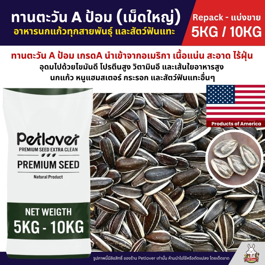 (5KG/10KG) ทานตะวัน Aป้อม เม็ดใหญ่ เกรดA อาหารนกแก้ว และสัตว์ฟันแทะ สด ใหม่ สะอาด ร่อนฝุ่นทุกถุง