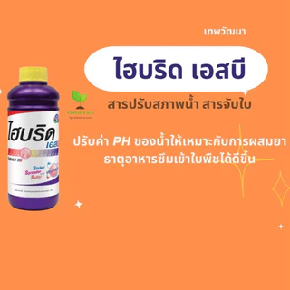 ไฮบริด เอสบี *ลอตใหม่ตะโกน2569 เทพวัฒนา สารปรับสภาพน้ำ จับใบ 1ลิตร