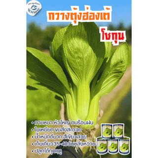 ตราลูกโลก เมล็ดผักกาดกวางตุ้ง ฮ่องเต้ โชกุนPakchoi เมล็ดพันธุ์ผัก ผักสวนครัว ผักซอง 2กรัม