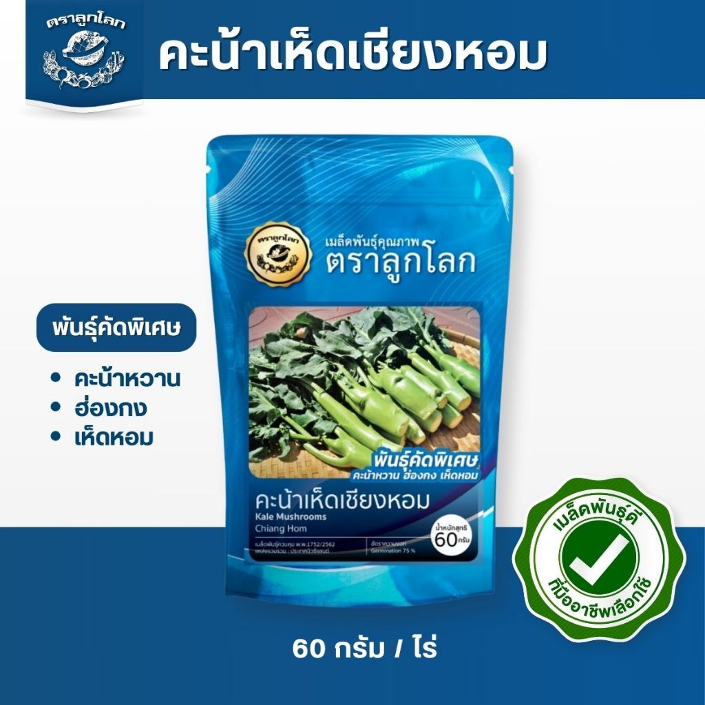 ตราลูกโลก เมล็ดคะน้า เห็ดหอม ขนาด60กรัม Kale mushrooms เมล็ดพันธุ์ผัก ผักสวนครัว ผักซอง