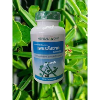 ริดสีดวง เพชรสังฆาต  แคปซูล