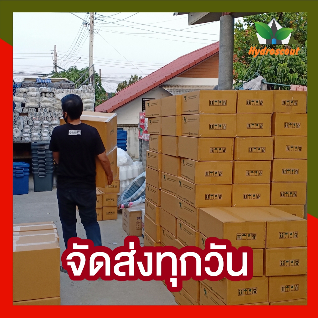 ชุดปลูกผักไฮโดรโปนิกส์ พร้อมปลูก กระบะใส 5 ช่องปลูก by hydroscout - รูปที่ 6