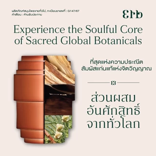 Erb Equilibrium Inhaler x Phen ยาดม ว่าน โดยปราชญ์พื้นถิ่น สมุนไพรอโรม่า 10 กรัม
