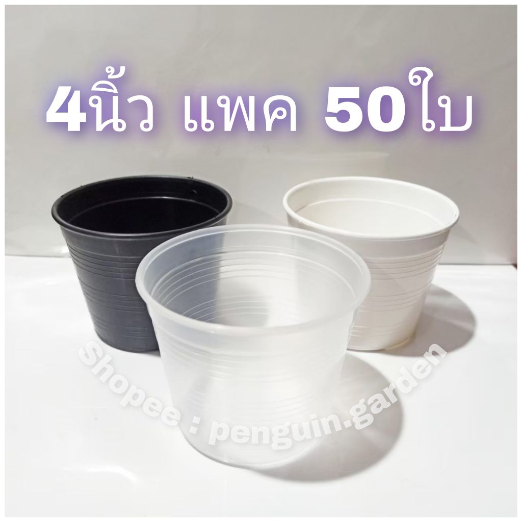 กระถางกลม 4 นิ้ว 50ใบ กระถางพลาสติก สีดำ ใส ขาว กลม กระบองเพชร แคตตัส ต้นไม้