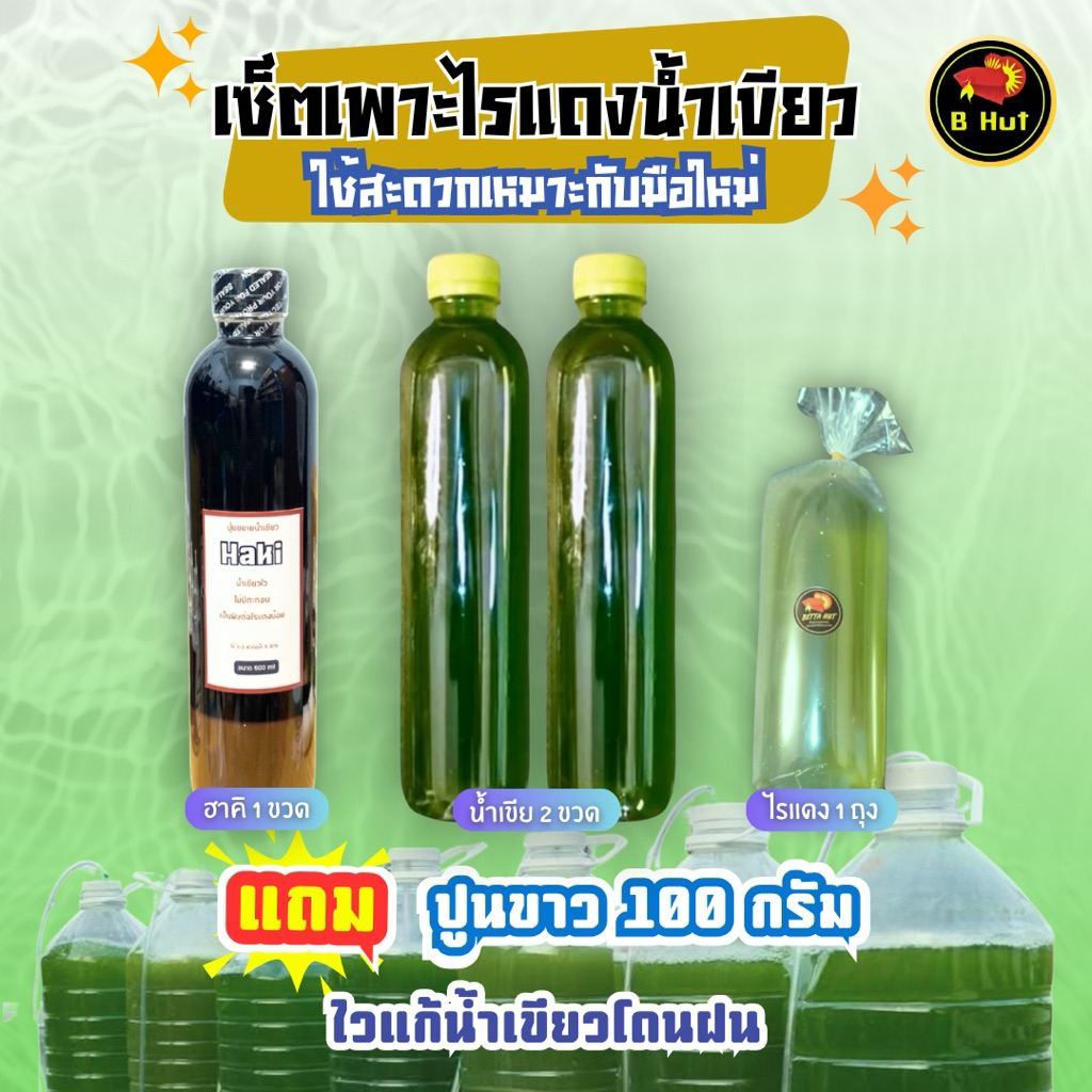 เซ็ตเพาะใรแดงน้ำเขียว สำหรับมือใหม่