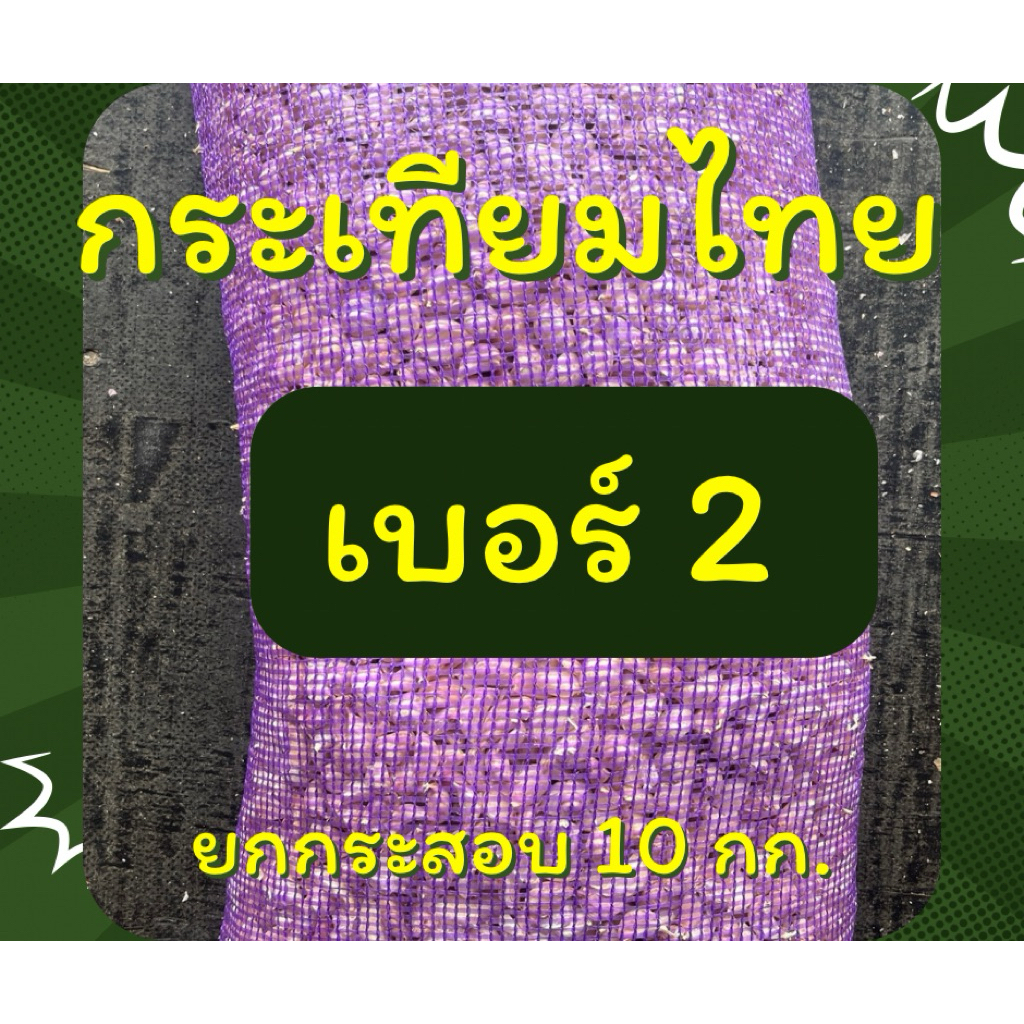 กระเทียมไทยแกะกลีบเบอร์ 2 ยกกระสอบ 10 กก สวย ไม่ลีบ ไม่ฝ่อ (ขายส่ง)