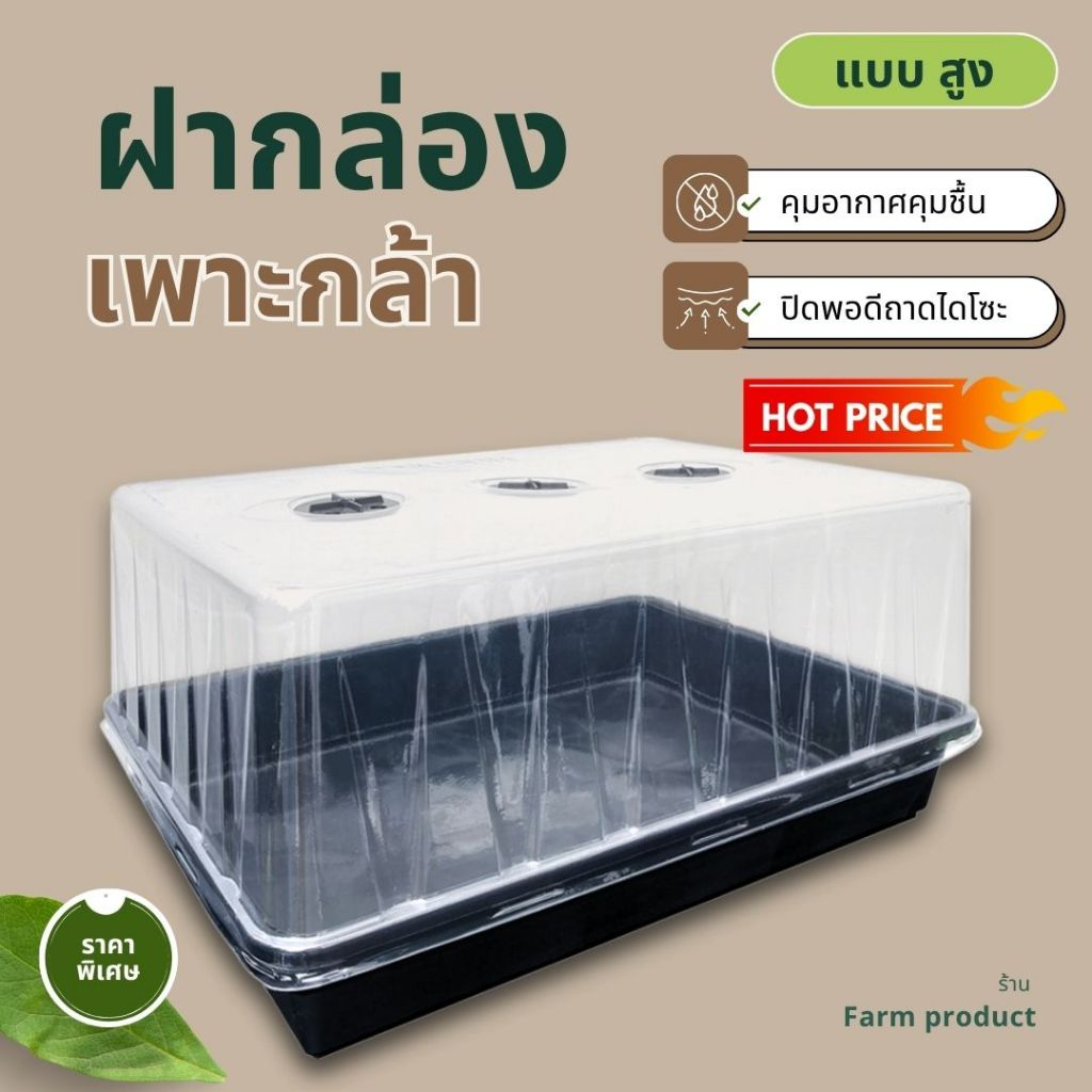 ฝาถาดไดโซะ ขนาดใหญ่ทรงสูง (เฉพาะฝา) ส่งไว