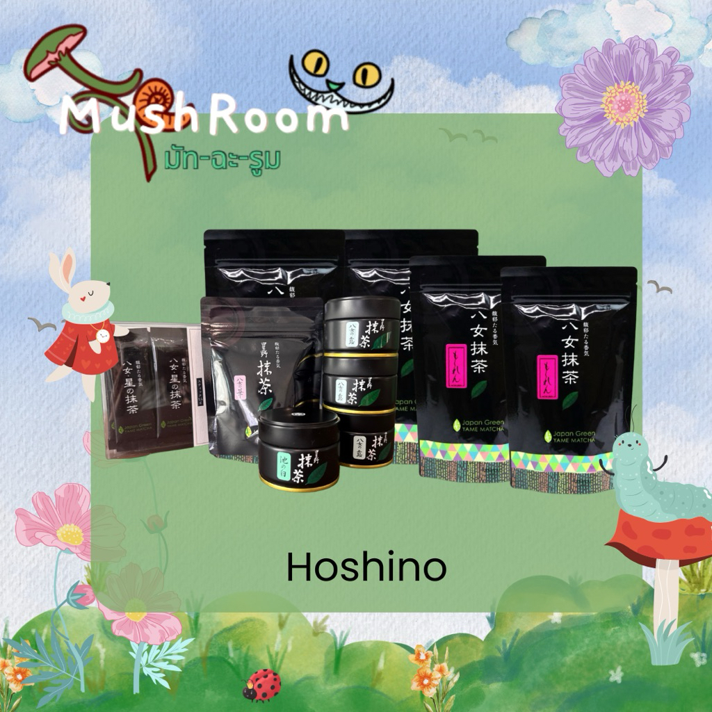 Hoshino Yame  Matcha มัทฉะ โทนถั่วว