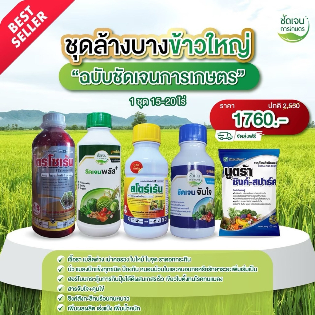 ชุดล้างบางข้าวใหญ่ 15 ไร่ครอบคลุม ฉบับชัดเจนการเกษตร