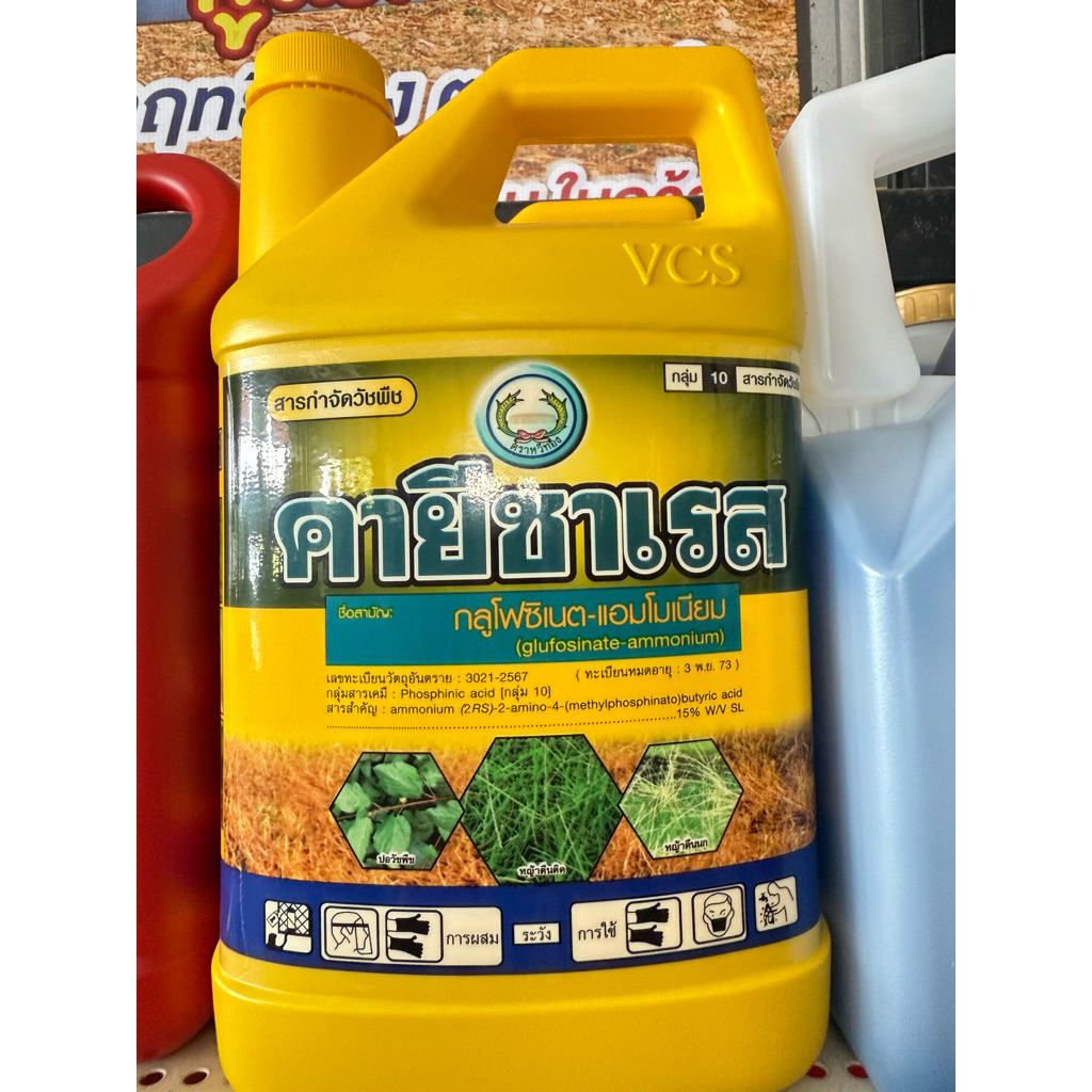 คายีซาเรส4ลิตรสินค้าผลิตใหม่
