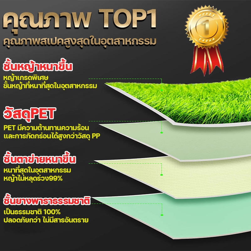 รูปภาพ 5