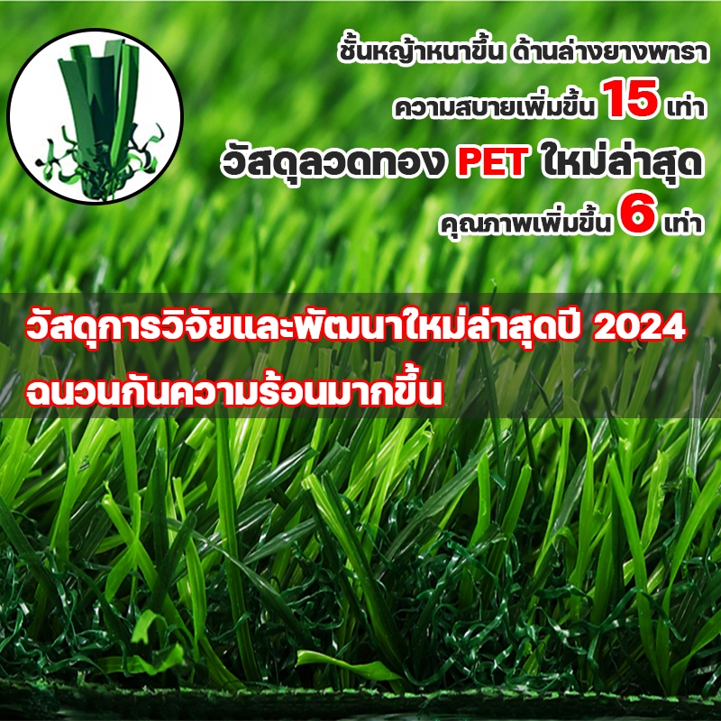 รูปภาพ 9