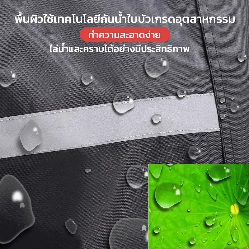 รูปภาพ 8