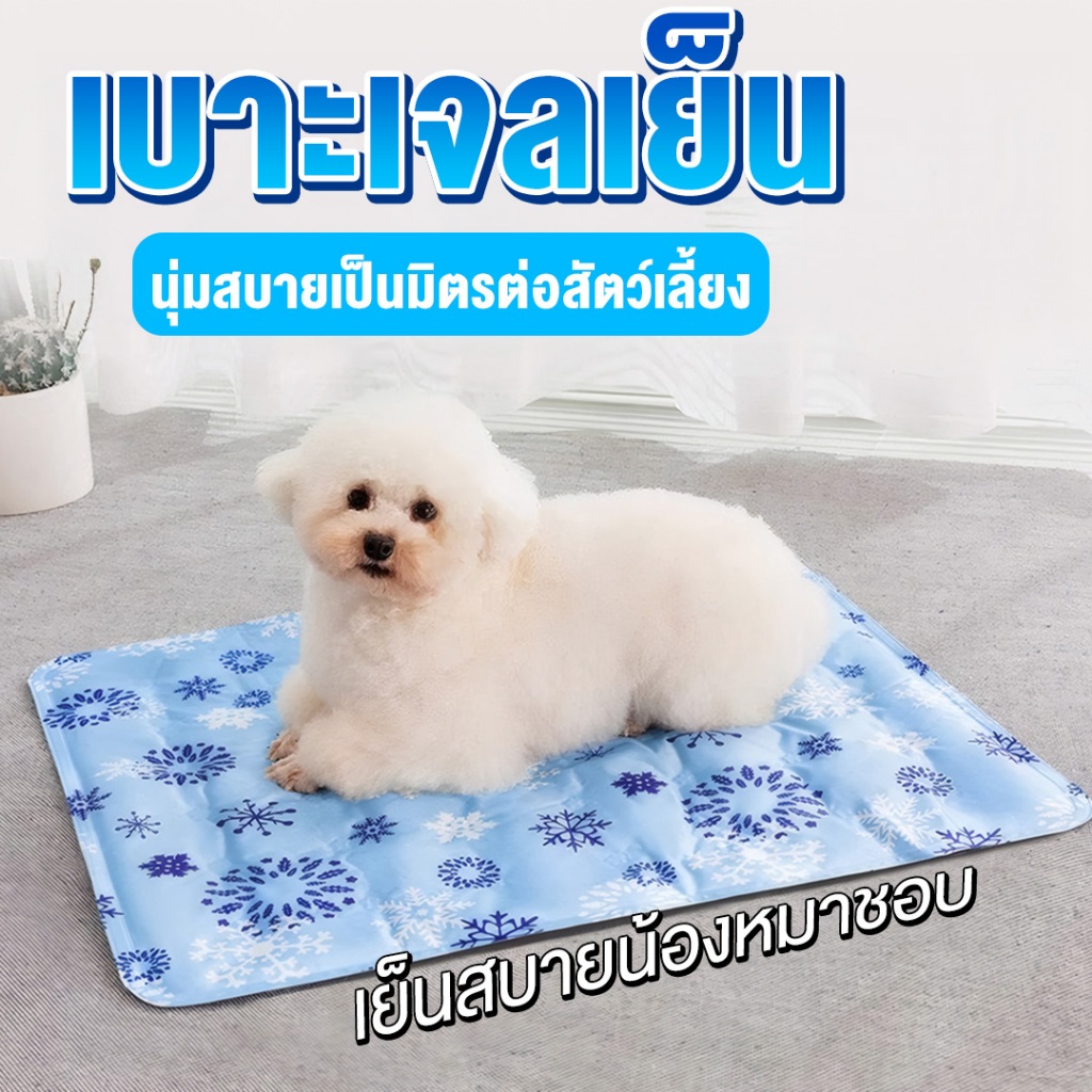 แผ่นที่นอนเจลเย็นสำหรับสัตว์เลี้ยง ที่นอนทำความเย็น พร้อมส่ง - 1900
