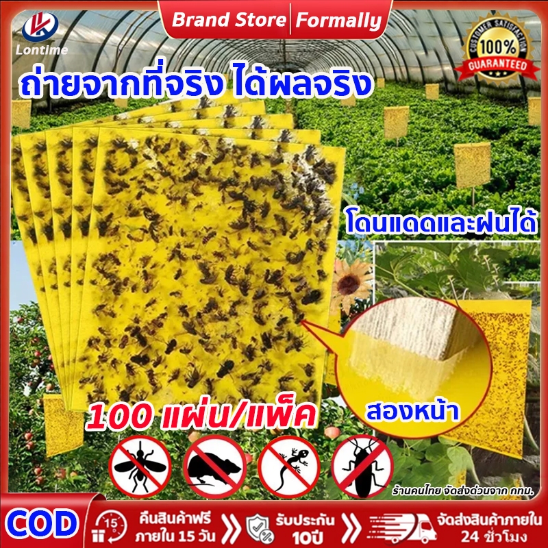 [ไม่กลัวฝนไม่กลัวแดด]50/100แผ่น แผ่นกาวดักแมลง กำจัดแมลงเพลี้ยแมลงหวี่เหนียวกาว2หน้าแผ่นกาวดักแมลงกาวดักหนูกาวดักนก