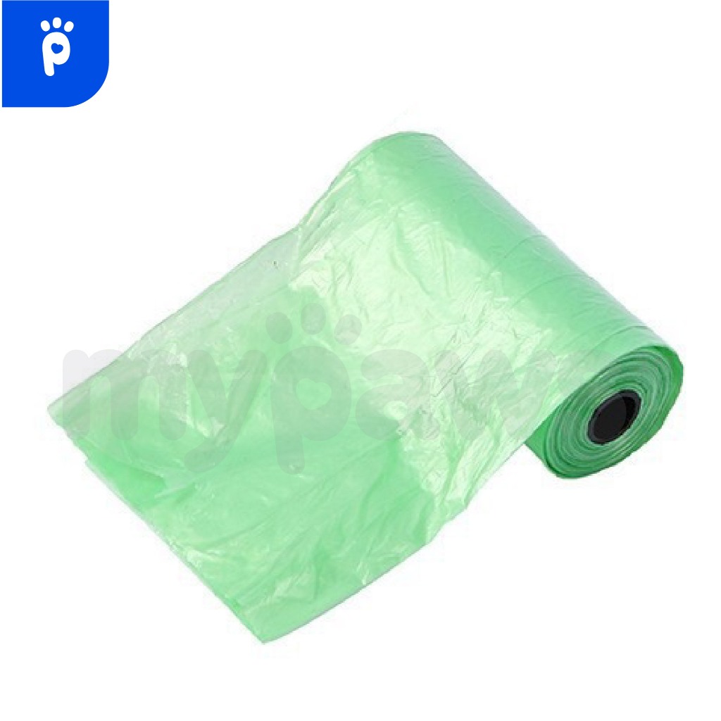 รูปภาพ 4