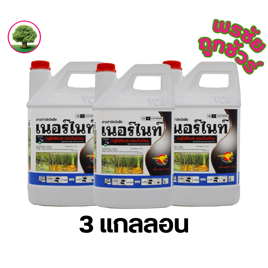เนอร์ไนท์แกลลอนขาว เฉพาะ 3แกลลอน เนอร์ไนท์ ขนาด 4ลิตร กลูโฟซิเนตแอมโมเนียม 15% ตราจิงโจ้ทอง