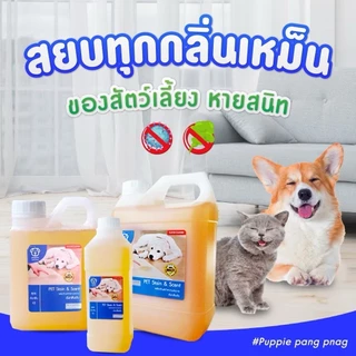น้ำยาดับกลิ่นสัตว์เลี้ยง | ผสมน้ำใช้ได้นานมากกว่า 2 เดือน++ ดับกลิ่นฉี่สุนัขฉี่แมว ของใช้สัตว์เลี้ยง