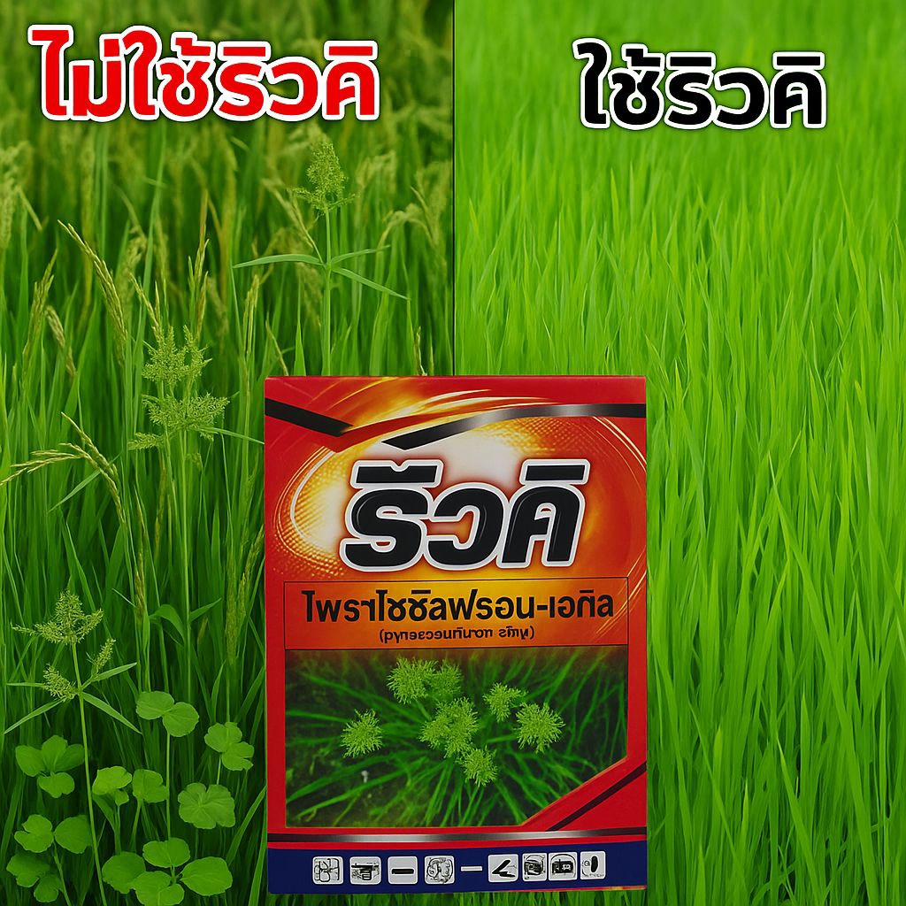 ริวคิ ไพราโซซัลฟูรอนกำจัดหญ้าใบกว้างกก ผักแว่น ผักปอด เทียนนาหนวดปลาดุกออกฤทธิ์ไว ปลอดภัยข้าวไม่ชะงักฉีดทับได้ข้าวไม่แดง