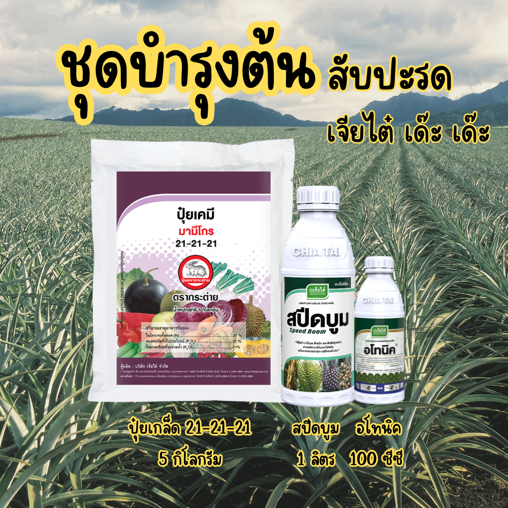 ปุ๋ยฉีดสับปะรด เจียไต๋ 4ช่วงการใช้ ปุ๋ยฉีดทางใบสำหรับสับปะรด