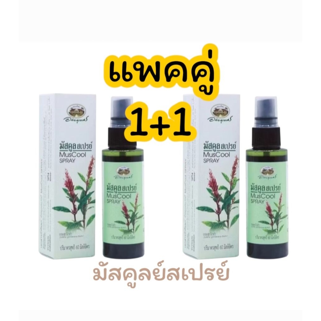 (แพคคู่1+1)​อภัยภูเบศร์​ มัสคูลย์สเปรย์​ 60มล.​ muscool spray