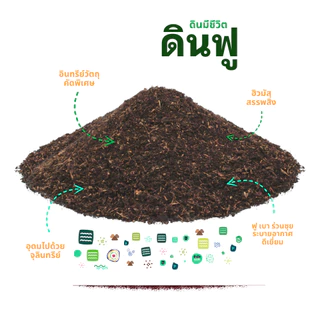 set x3 ดินฟู ~ ดินมีชีวิต : แถมฟรี >> Growth Hormone x1 ขวด ปริมาน 250 ml