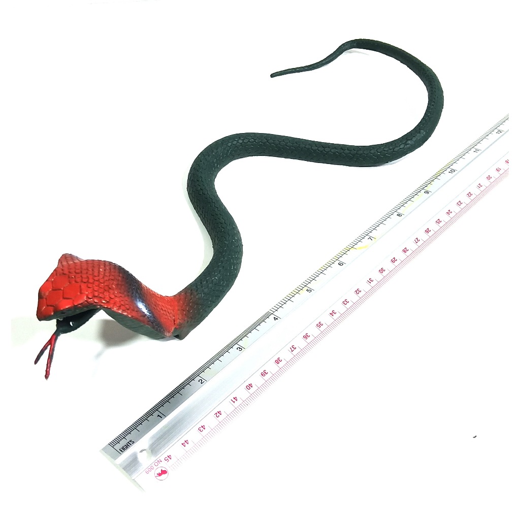 งูปลอม งูของเล่น โมเดลงู ของเล่นเด็ก งูจำลอง เพิ่มทักษะ การเรียนรู้ - รูปที่ 7