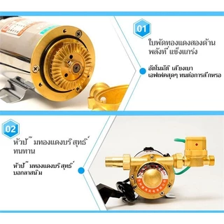 Celoglo ปั้มน้ำอัตโนมัติขนาดเล็ก พร้อมส่งปั๊มน้ำอัตโนมัติ 260W ใหม่! ปั้ม ปั้มน้ำ ปั้มปะปา บูสเตอร์ปั๊ม 260W ปั้มRO